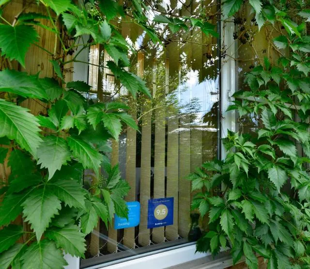  Armine's B&B - picture  : Certificate/Award,Property 