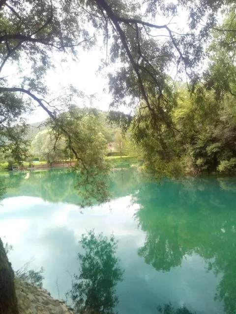  Kuca Delić - picture  : Lake view,River view,Property 