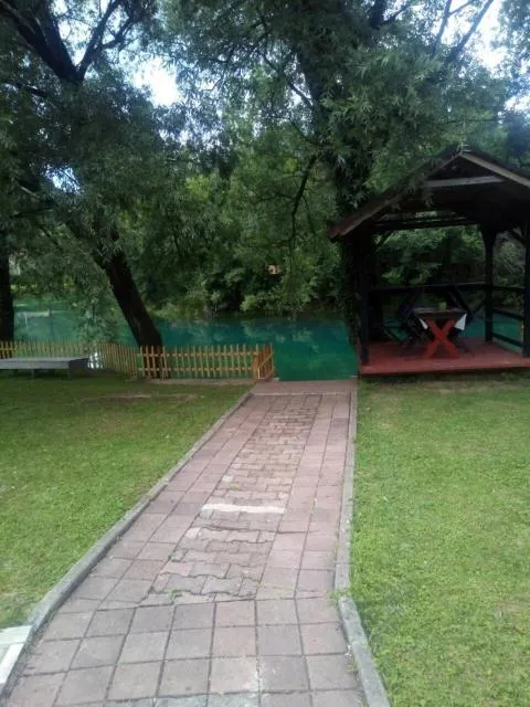  Kuca Delić - picture  : Patio,Garden,Swimming pool,Property 