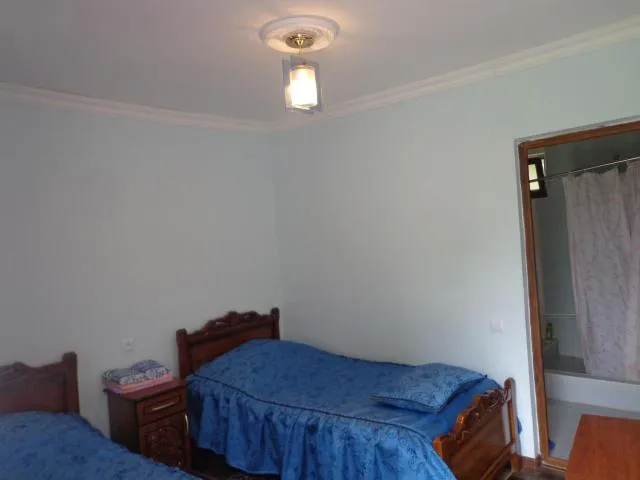  Anush`s B&B - picture  : Bed 