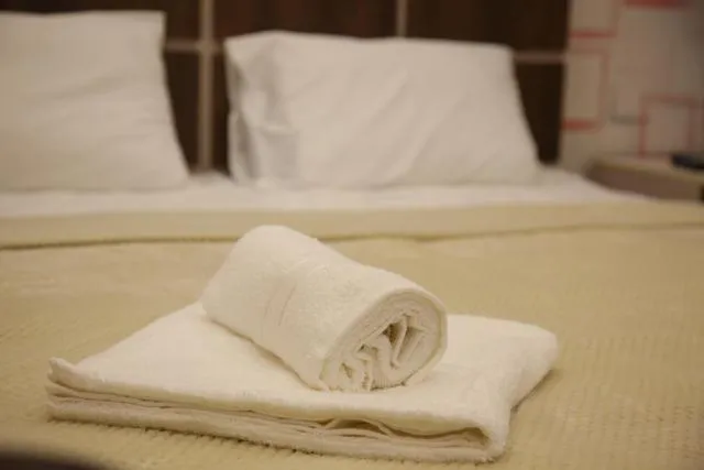  Hotel Felisa Gyumri - picture  : Bed 