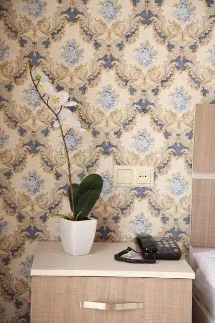  Hotel Felisa Gyumri - picture  : Seating area 