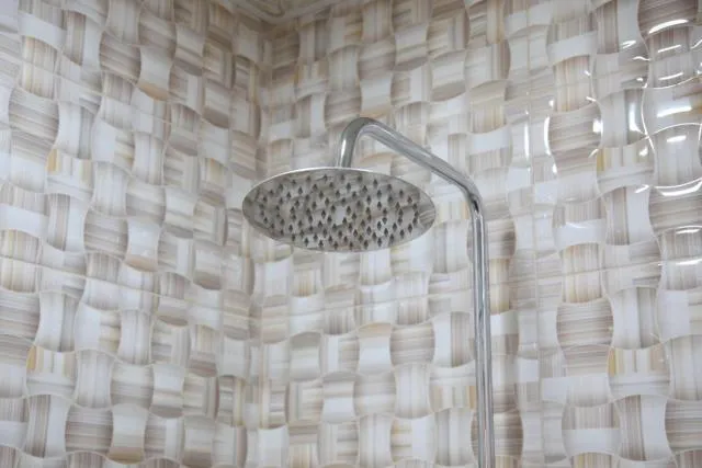  Hotel Felisa Gyumri - picture  : Bathroom 