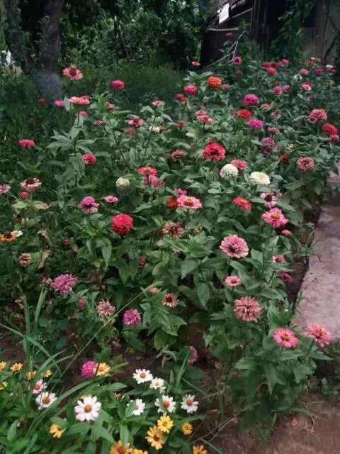  B&B Ruzan - picture  : Garden,Garden,Property 