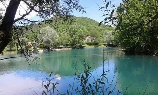  Kuca Delić - picture  : Natural landscape,On site,Property 