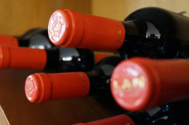  Hotel Xalet Verdú - picture  : Restaurant/places to eat,Natural landscape,Alcoholic drinks,Property 