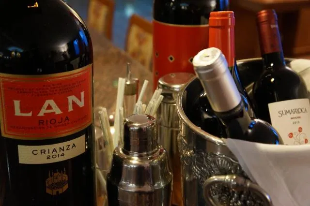  Hotel Xalet Verdú - picture  : Natural landscape,Lounge or bar,Alcoholic drinks,Property 