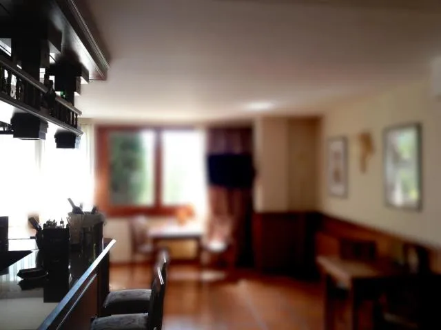  Hotel Xalet Verdú - picture  : TV/entertainment centre,Lounge or bar,Property 