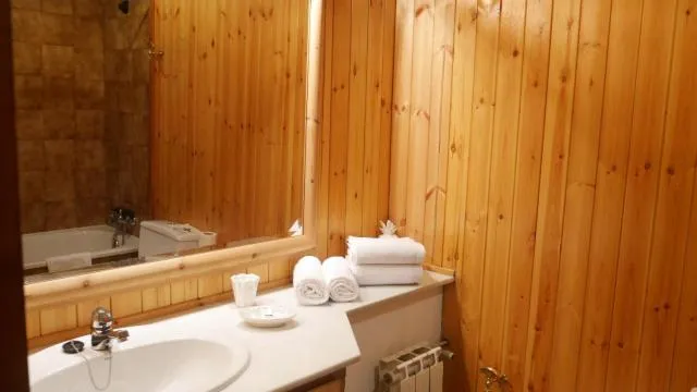  Pleta del Tarter - picture  : Bathroom 