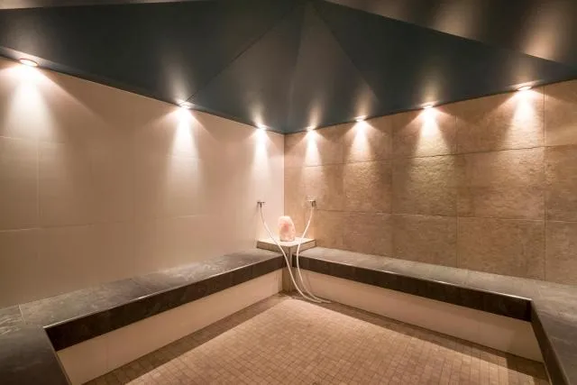  Appartementhaus Adlerblick - photo  : Sauna,Chambre à vapeur,Propriété 