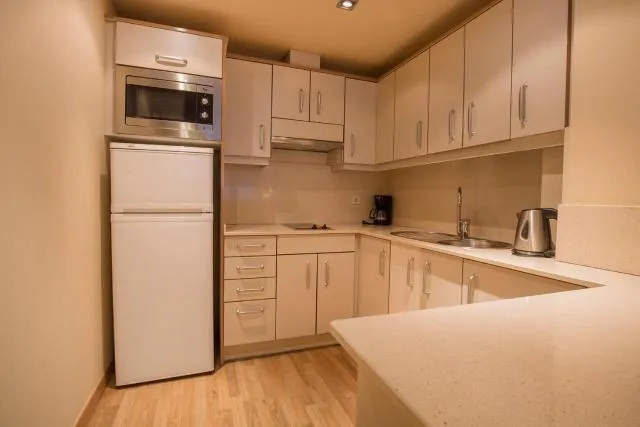  Aparthotel Shusski - picture  : Kitchen/kitchenette,Kitchen or kitchenette,Property 