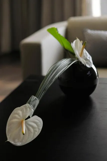  Armani Hotel Dubai - picture  : Other,Decorative detail 