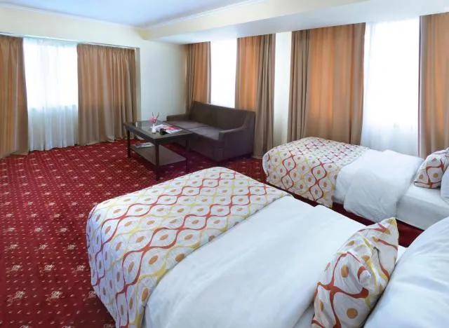  Ani Plaza Hotel - picture  : TV/entertainment centre,Bed,Photo of the whole room,Room 