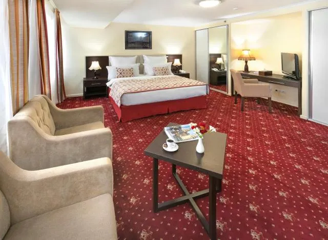  Ani Plaza Hotel - picture  : Photo of the whole room,Room 