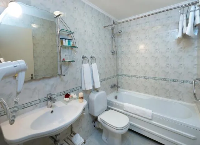  Ani Plaza Hotel - picture  : Toilet,Bathroom,Bathroom,Property 