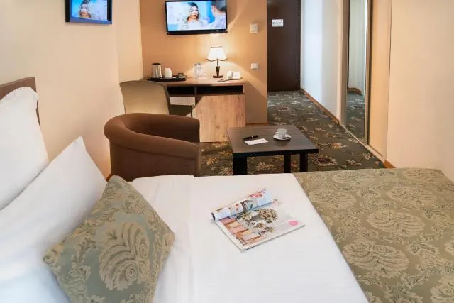  Ani Plaza Hotel - picture  : Seating area,Photo of the whole room,Room 