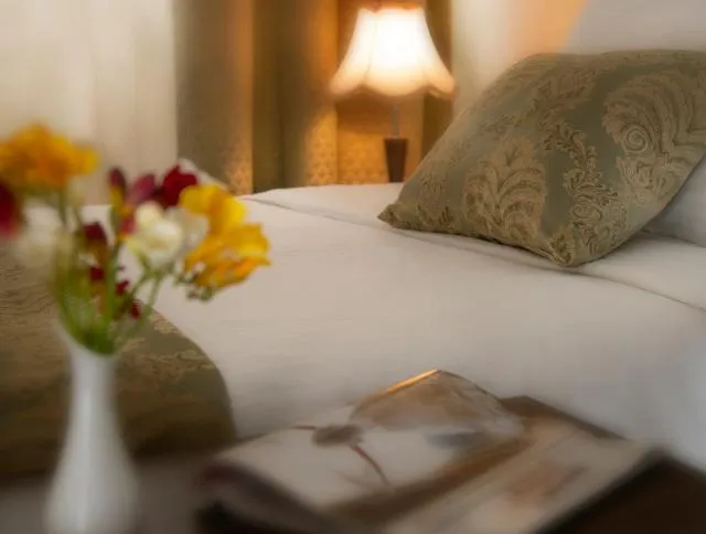  Ani Plaza Hotel - picture  : Bed,Bed,Room 