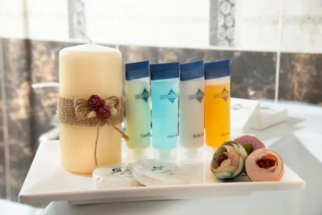  Ani Plaza Hotel - picture  : Bathroom,Property 