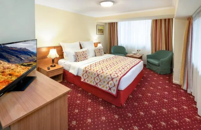  Ani Plaza Hotel - picture  : Bed,Photo of the whole room,Room 