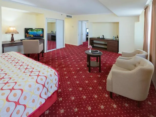  Ani Plaza Hotel - picture  : Seating area,Seating area,Bedroom,Property 