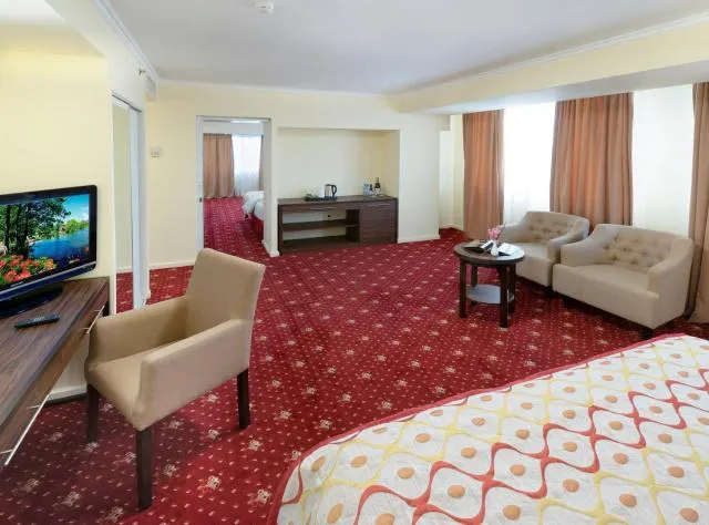 Ani Plaza Hotel - picture  : Seating area,TV/entertainment centre,Photo of the whole room,Seating area,Property,Room 