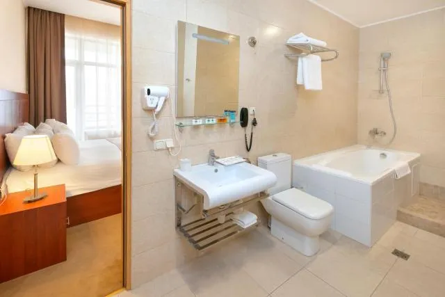  Ani Plaza Hotel - picture  : Bathroom,Bathroom,Property 