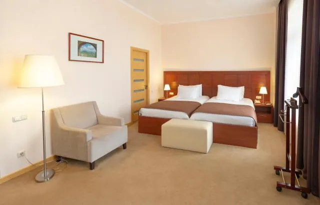  Ani Plaza Hotel - picture  : Bed,Photo of the whole room,Room 