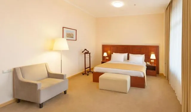  Ani Plaza Hotel - picture  : Photo of the whole room,Room 