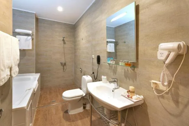  Ani Plaza Hotel - picture  : Bathroom,Bathroom,Property 