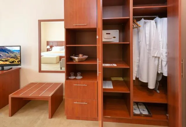  Ani Plaza Hotel - picture  : TV/entertainment centre,Area and facilities,Property 