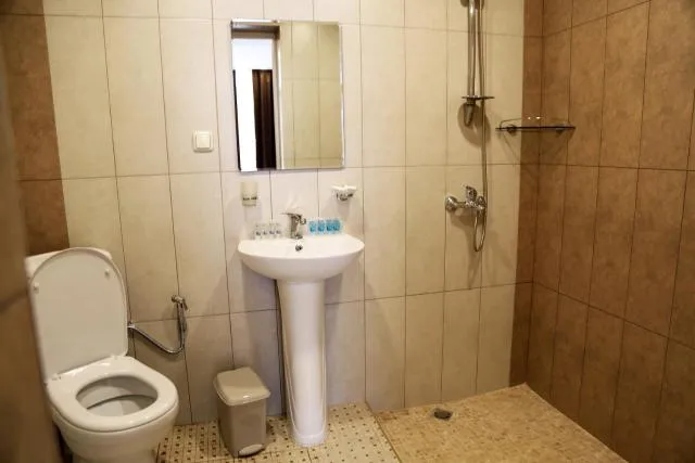  Hotel Merien - picture  : Shower,Toilet,Bathroom,Bathroom,Property 