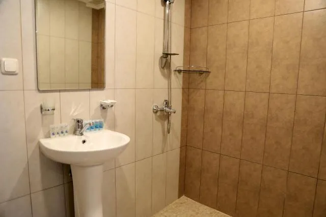  Hotel Merien - picture  : Bathroom 