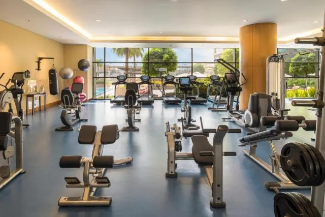  Swissôtel Al Ghurair Dubai - picture  : Fitness centre/facilities,Fitness centre/facilities,Property 