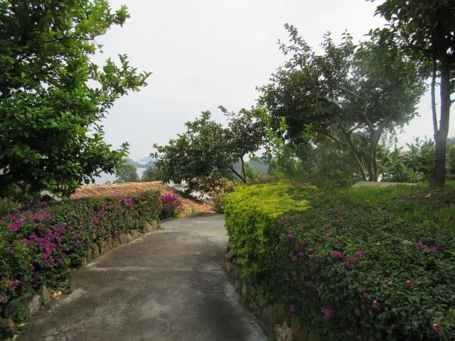  Rebero Kivu Resort - photo  : Jardin 