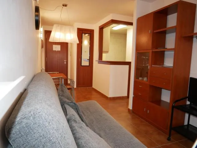  Cabirol-Vacances Pirinenca - picture  : Seating area,Photo of the whole room,Room 