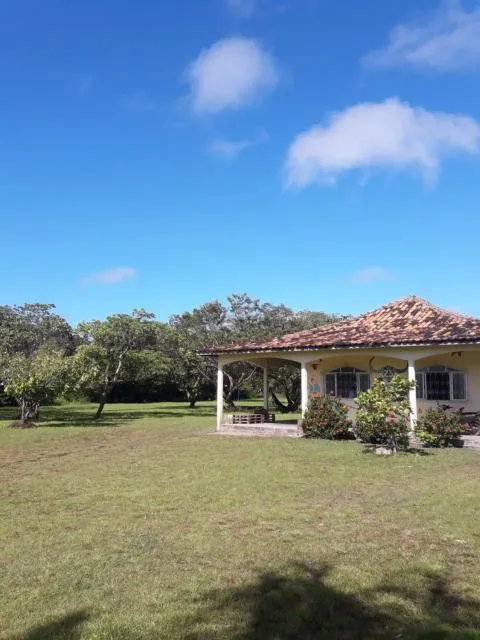  Hostel Tucupi - picture  : Property building,Garden,Property building,Garden,Property 