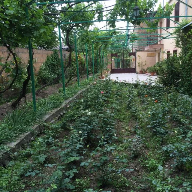  ECO-RESORT LORRET - picture  : Garden,Property 