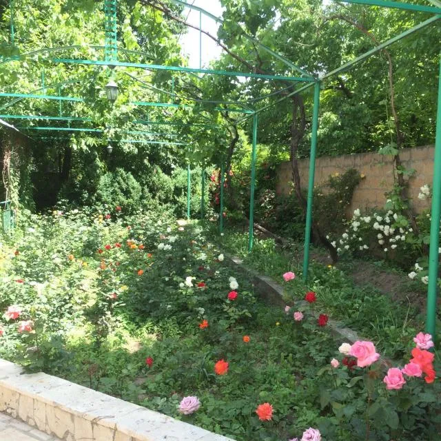  ECO-RESORT LORRET - picture  : Garden,Garden,Garden view,Property 