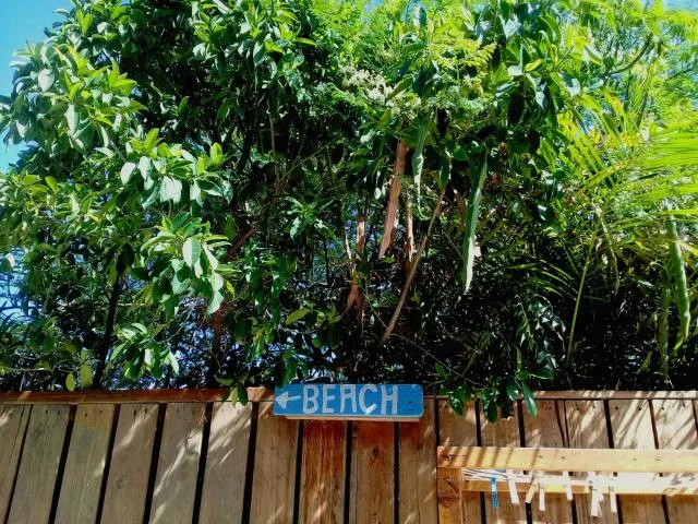  Hopi Cadushi Studio - picture  : Day 