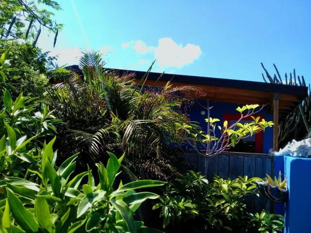  Hopi Cadushi Studio - picture  : Garden view,Property 