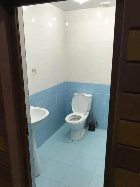  Gorgeous Villa With The Best View Of Ararat Mount - picture  : Bathroom 