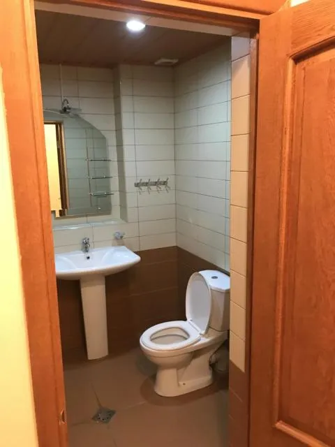  Gorgeous Villa With The Best View Of Ararat Mount - picture  : Bathroom 