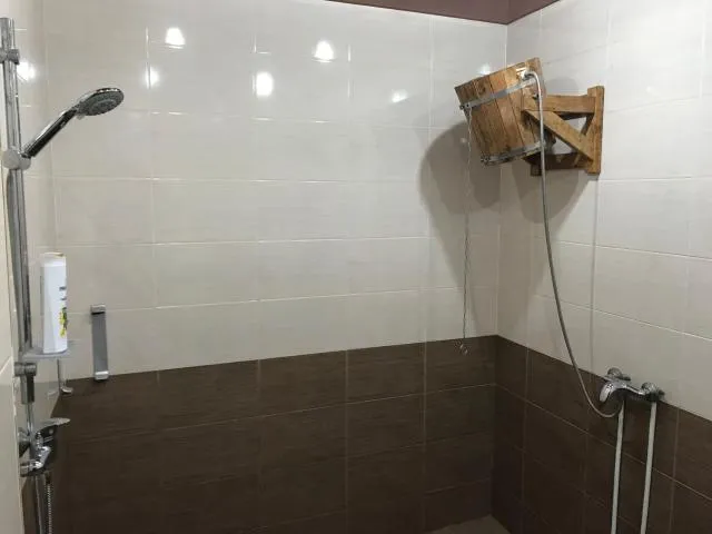  Gorgeous Villa With The Best View Of Ararat Mount - picture  : Bathroom 