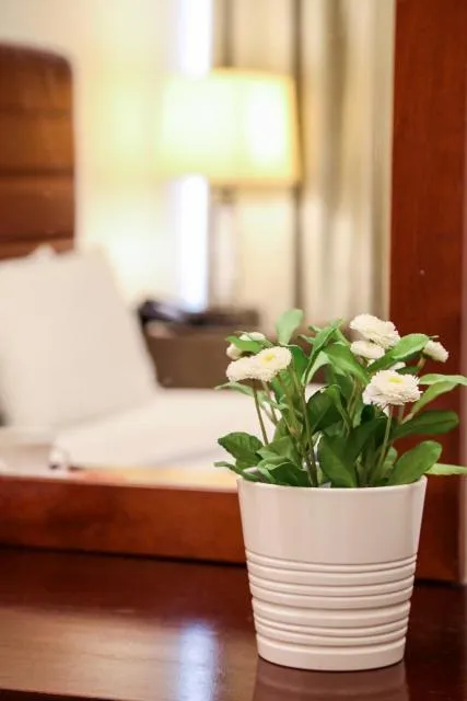  Mermaid Beach Hotel LLC - picture  : Bed,Room 