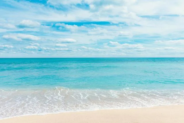  Wyndham Garden Ajman Corniche - picture  : Beach,Beach,Property 