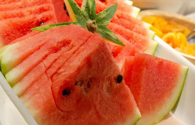  Hotel Ski Plaza & Wellness - picture  : Food,Food,Property 