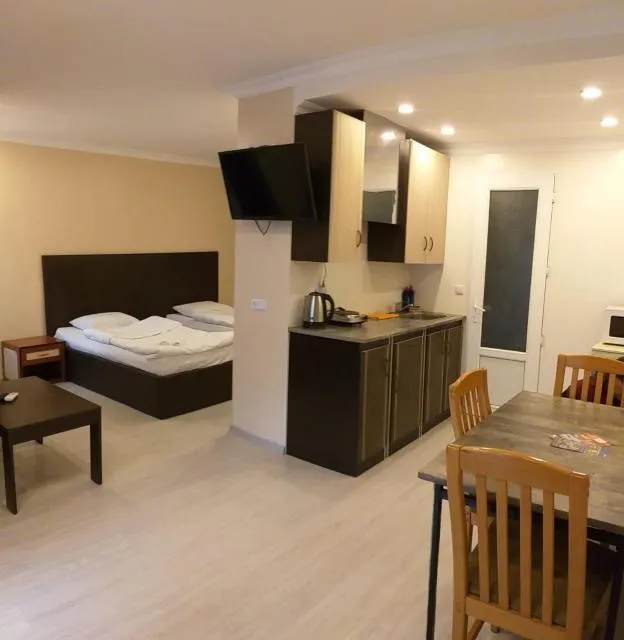  Hotel Merien - picture  : Kitchen/kitchenette 