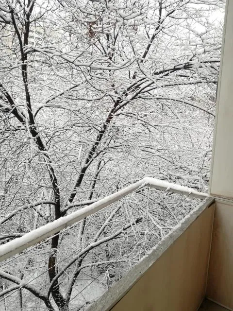  Your lovely stay in Yerevan, Komitas 30 - picture  : Balcony/terrace,Balcony/Terrace,Property 