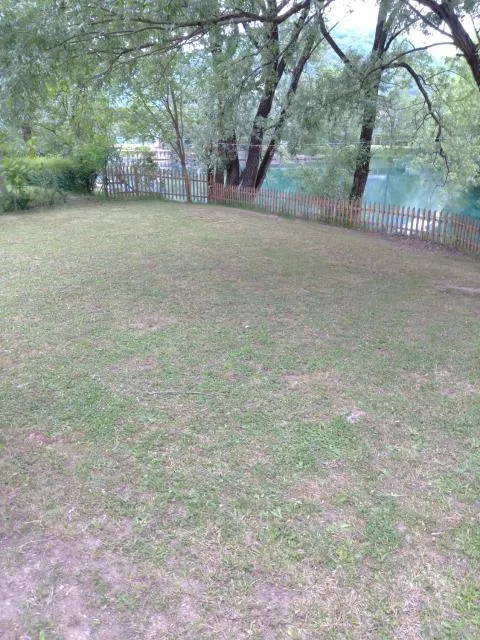  Kuca Delić - picture  : Activities,Activities,Garden,Property 