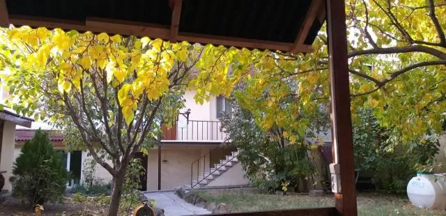  Popock City Center - picture  : Property building 